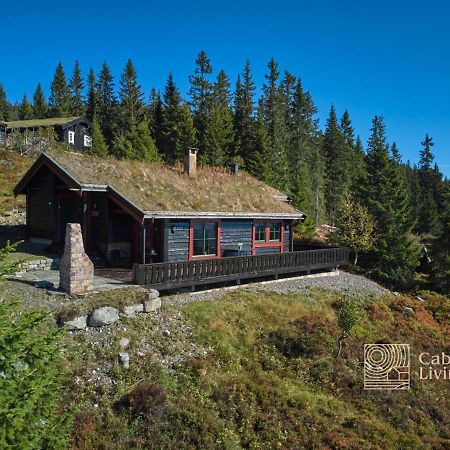 Centrally Located Cottage At Sjusjoen Ski Center Dış mekan fotoğraf