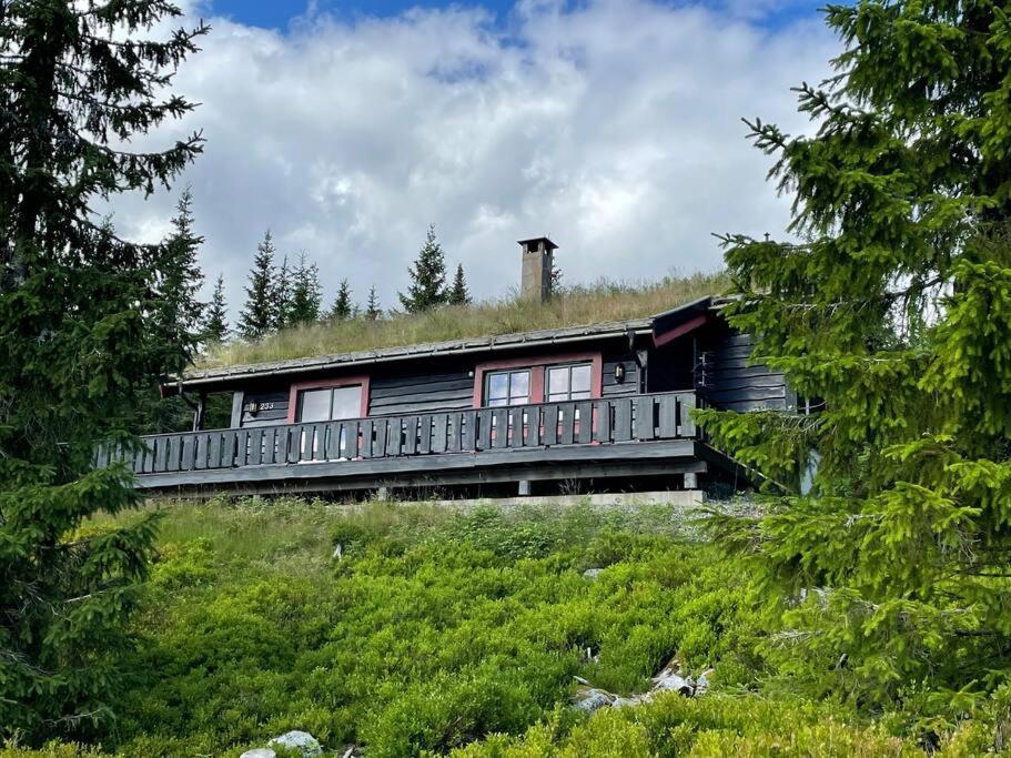 Centrally Located Cottage At Sjusjoen Ski Center Dış mekan fotoğraf